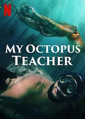 说电影《我的章鱼老师》